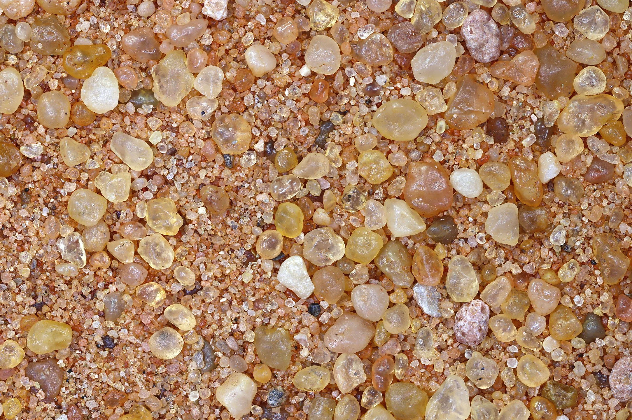 Presentations | Join Our Discussions — International Sand